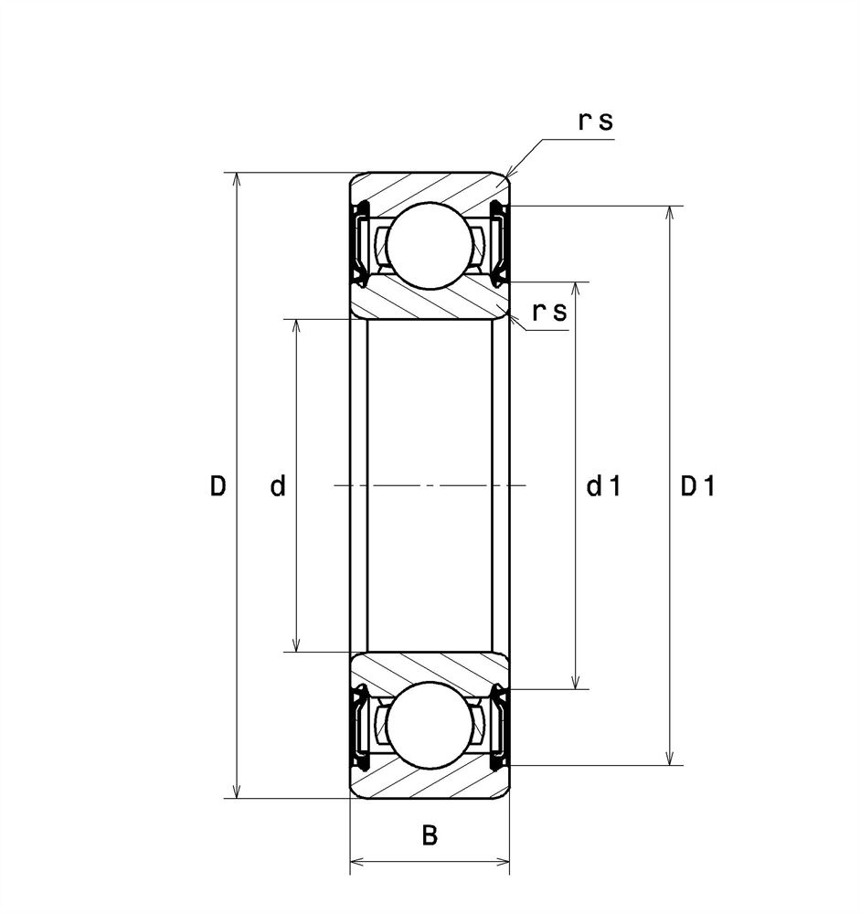 6313-2RS1 SKF