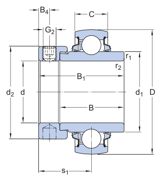 YEL205-100-2DW/AG SKF